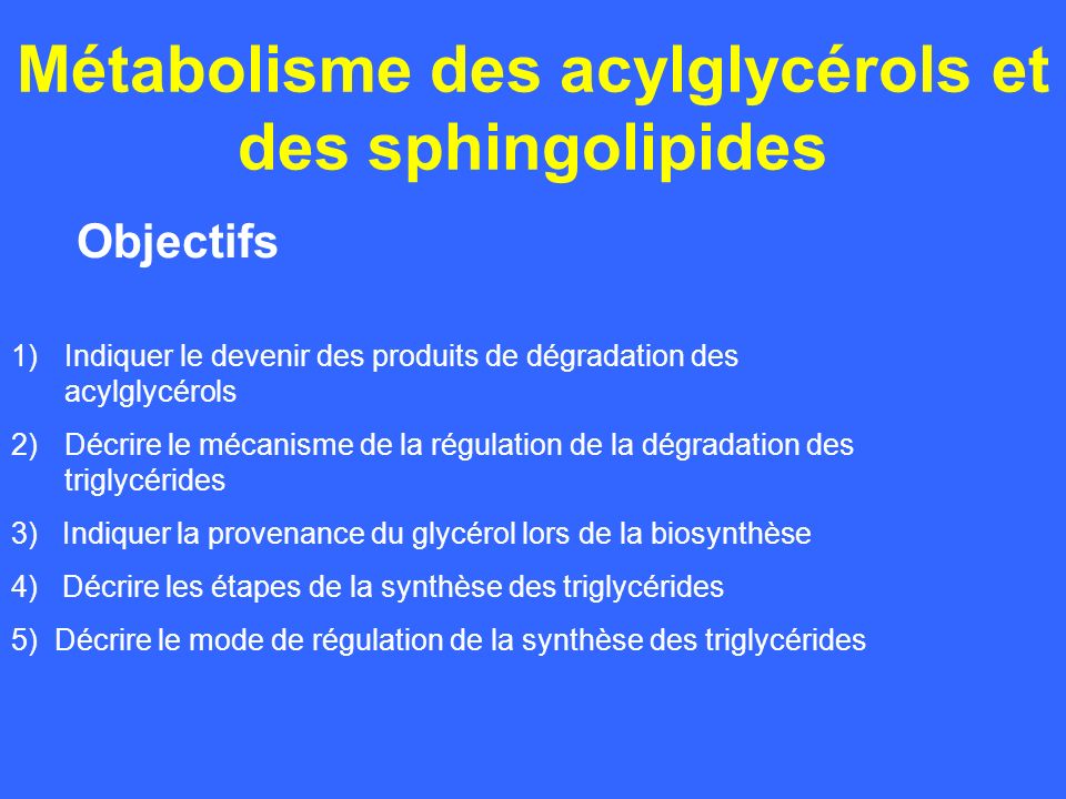 Métabolisme des acylglycérols et des sphingolipides ppt video online